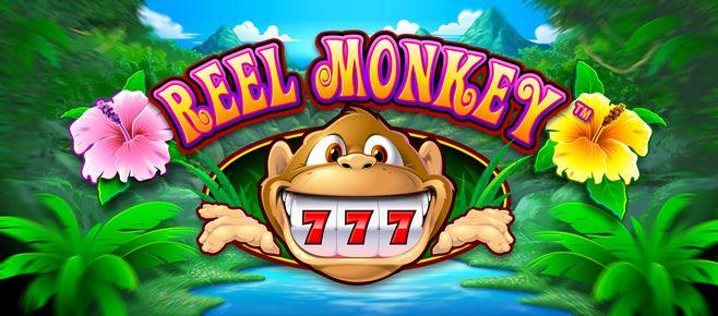 tg777 online casino