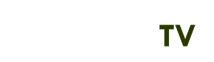 Phbet 48 - Ph356